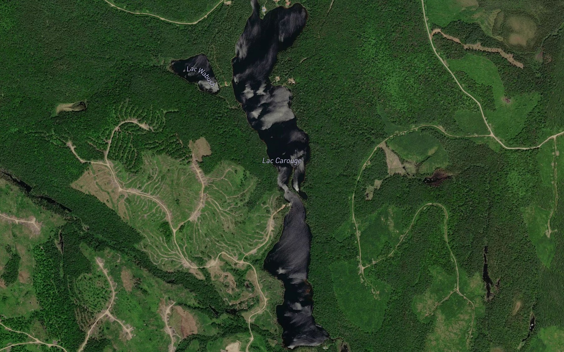 Satellite map of the Lac Carouge