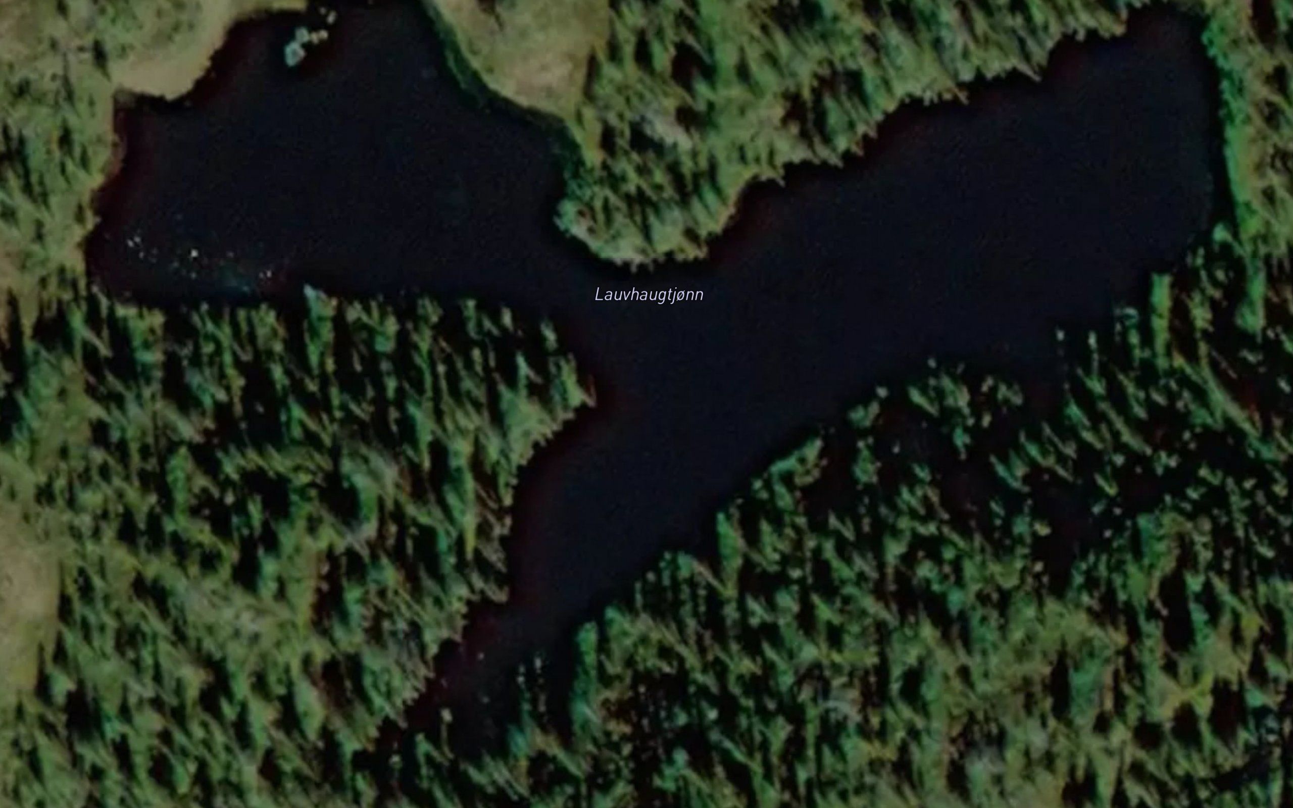 Lauvhaugtjonn