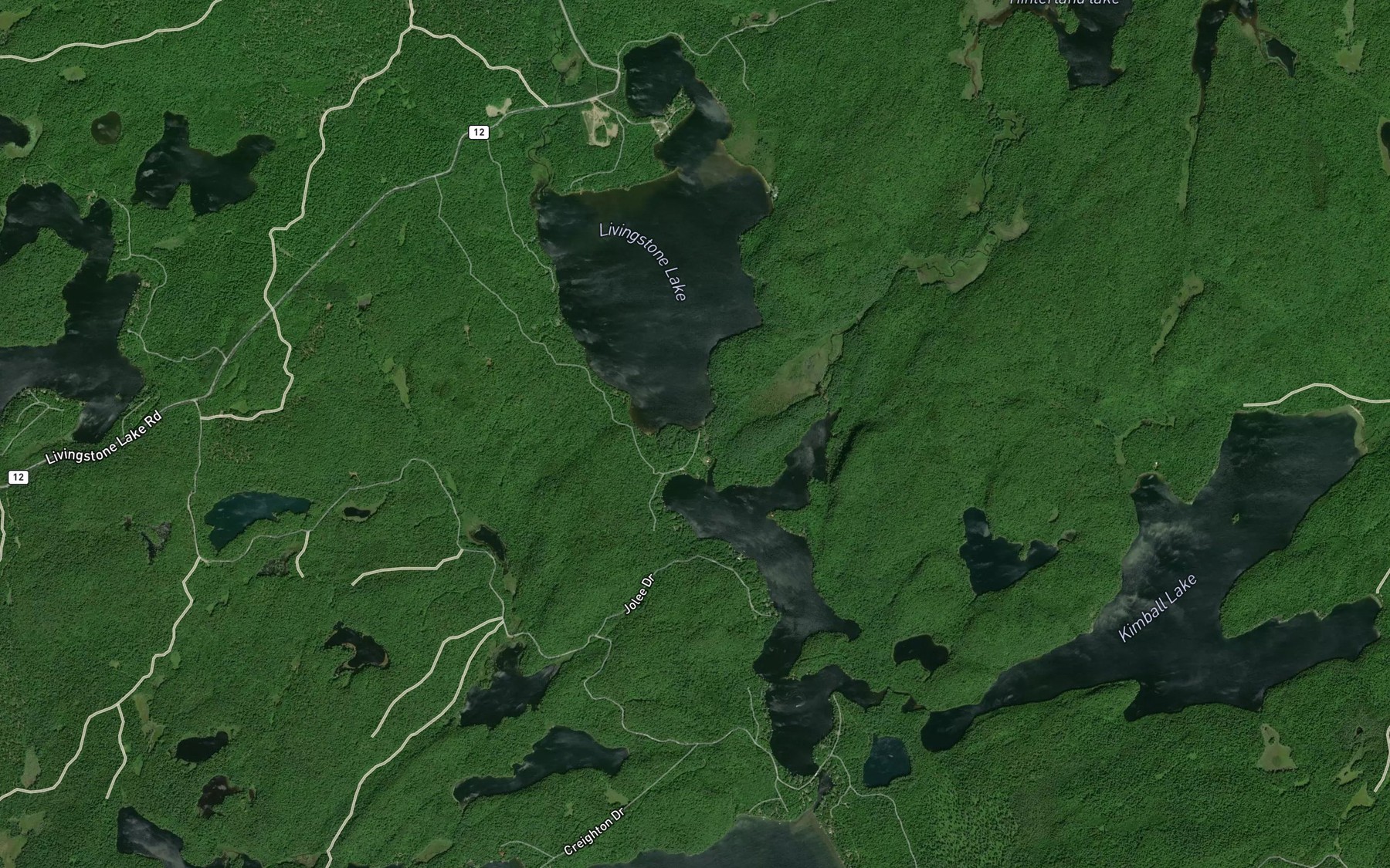 Satellite map of the Livingstone Creek