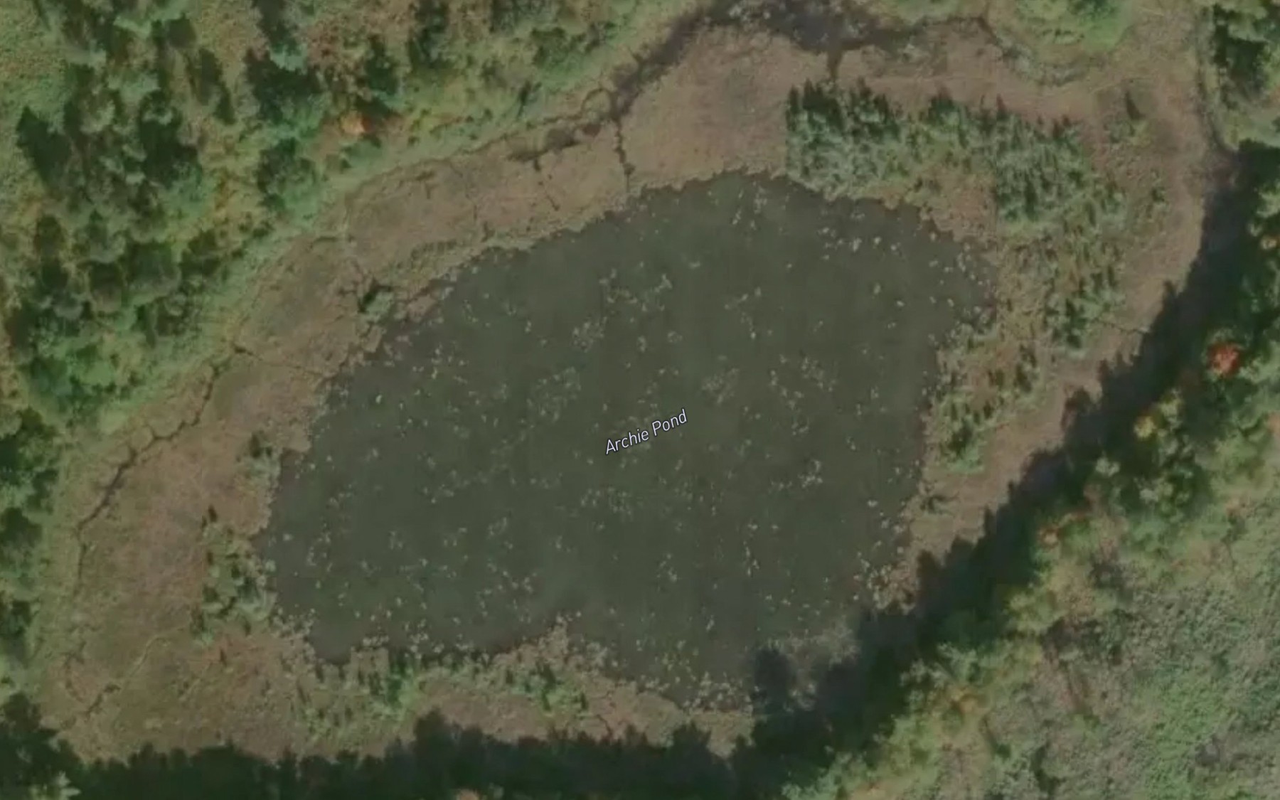 Satellite map of the Archie Pond