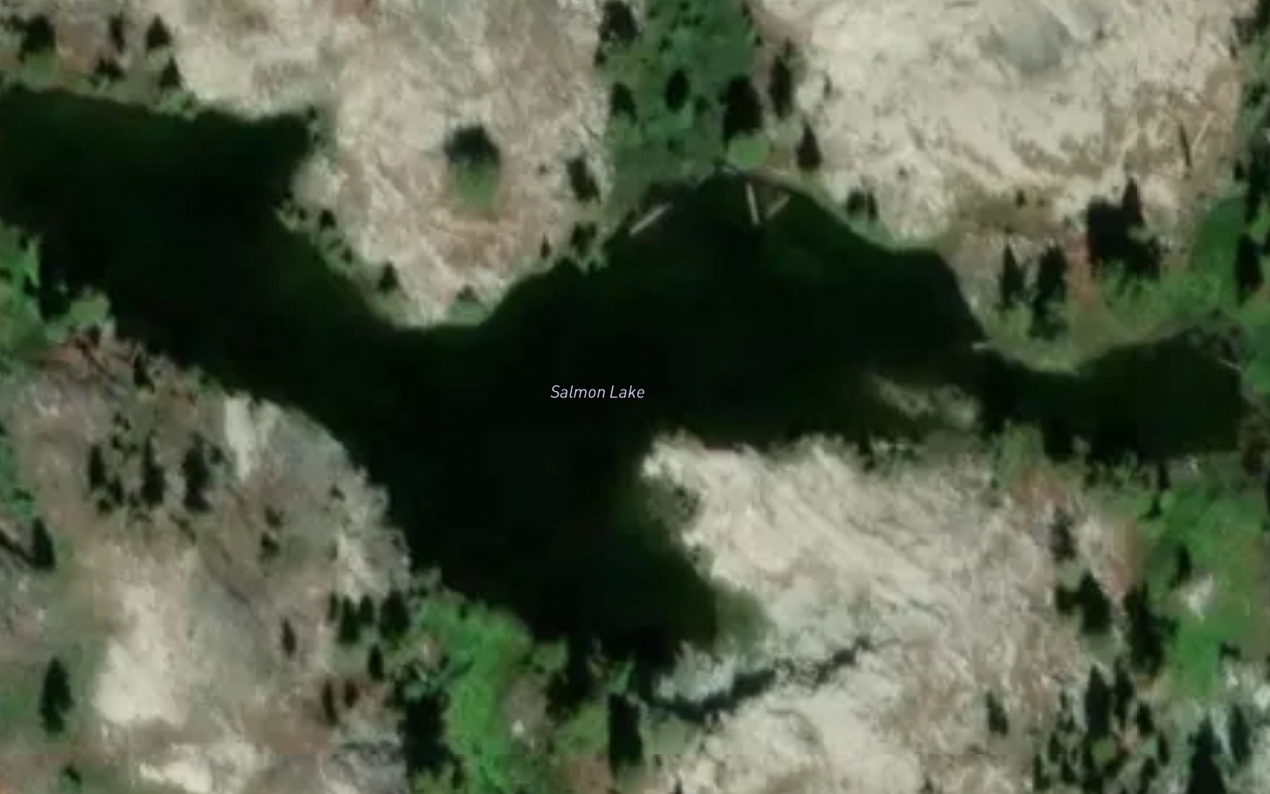 Satellite map of the Salmon Lake