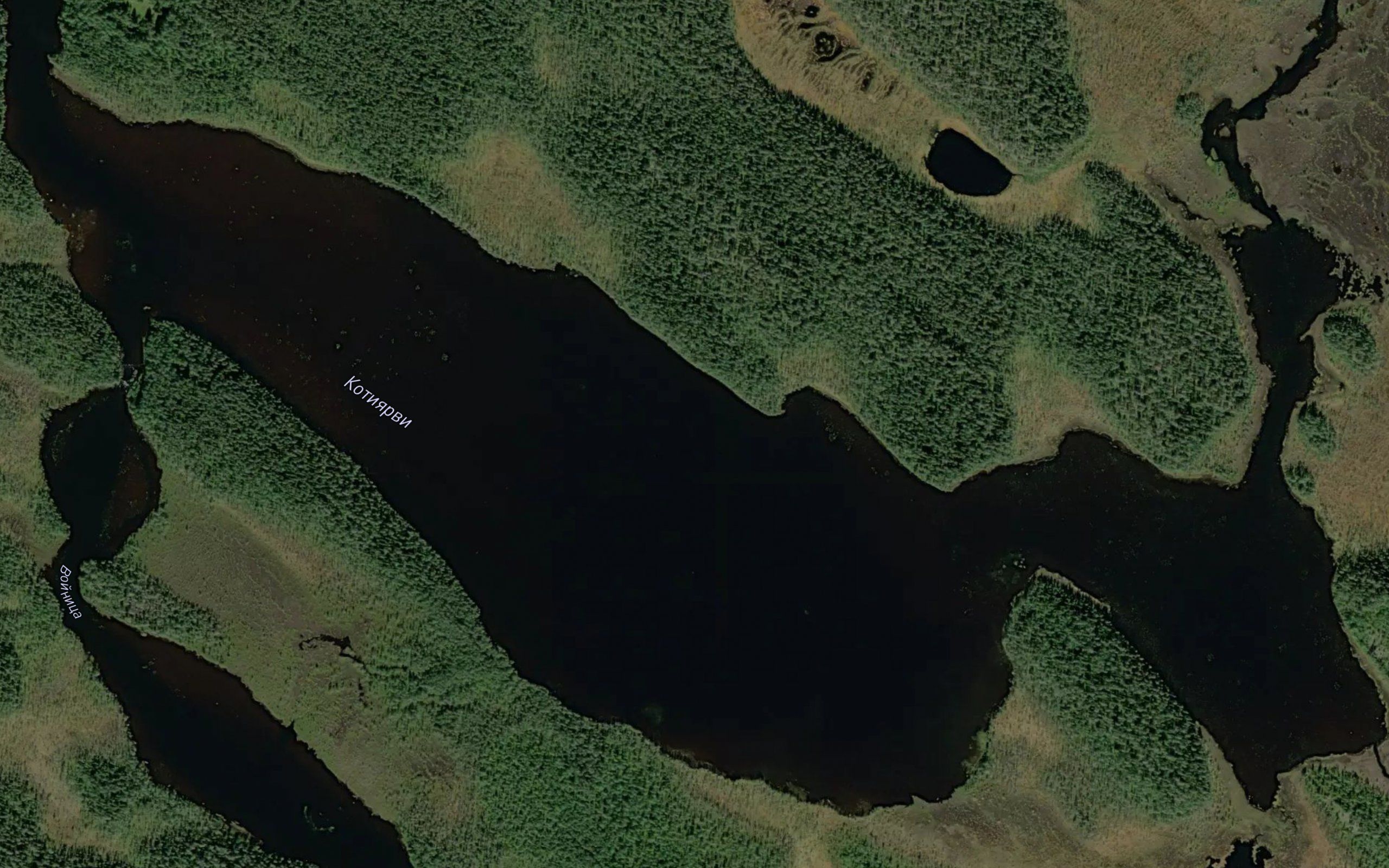 Kotijaervi