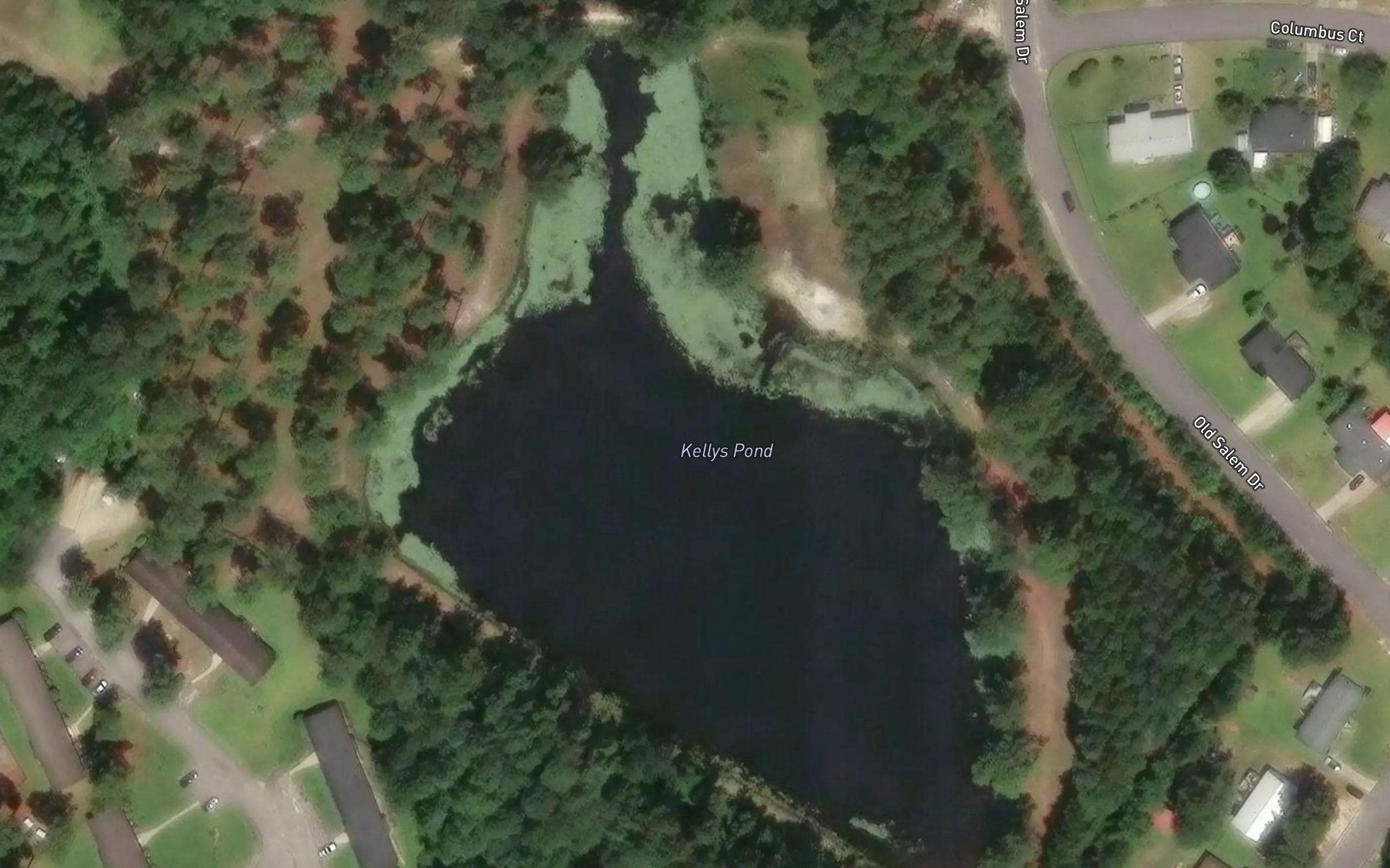 Kellys Pond