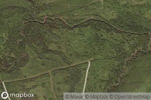 Rose Brook