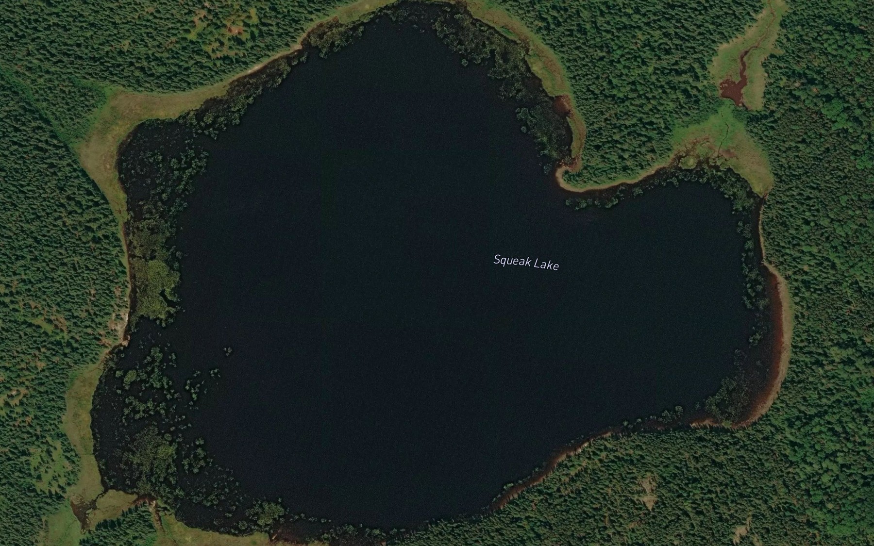 Satellite map of the Squeak Lake