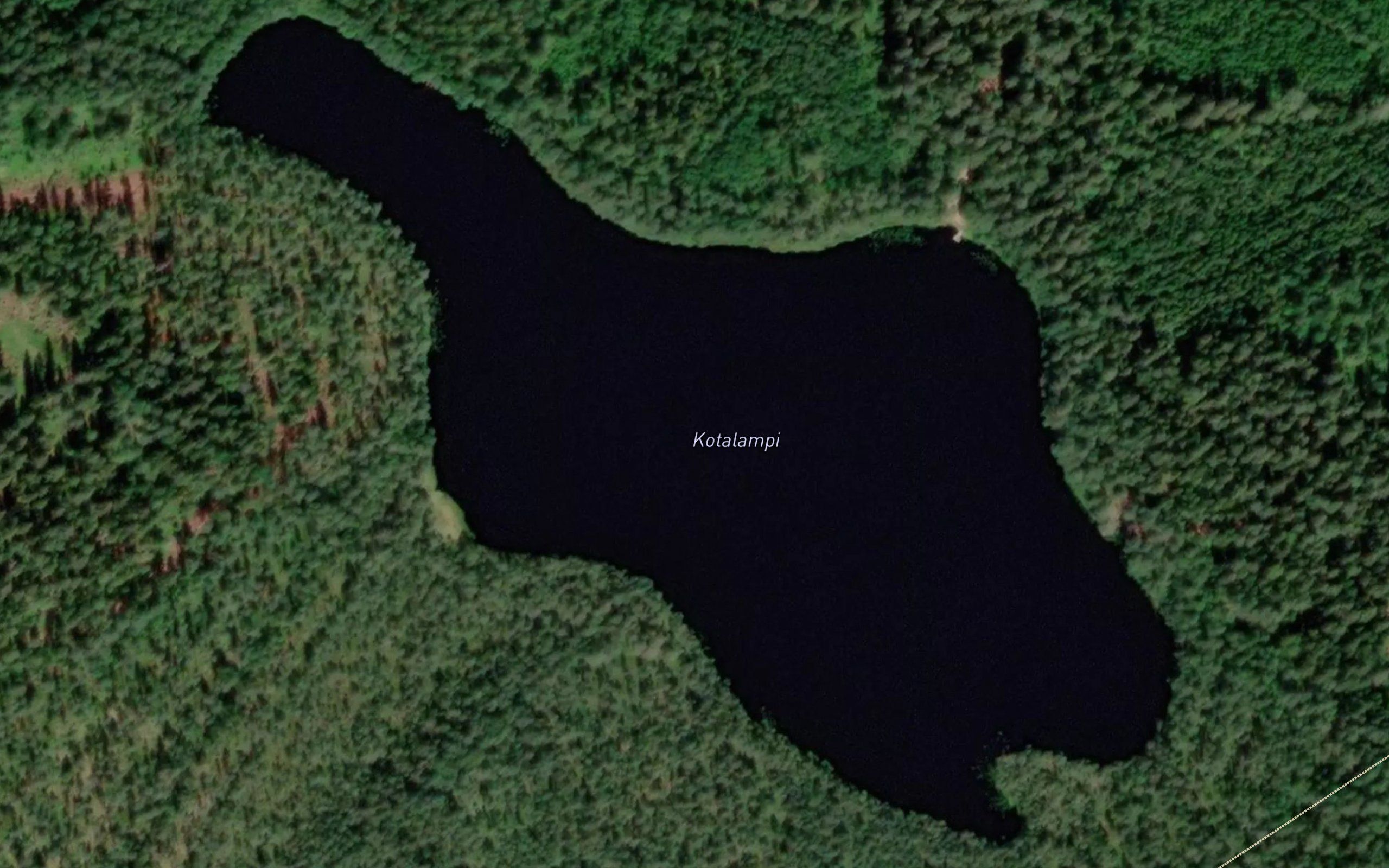 Kotalampi