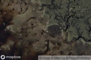 Long Point