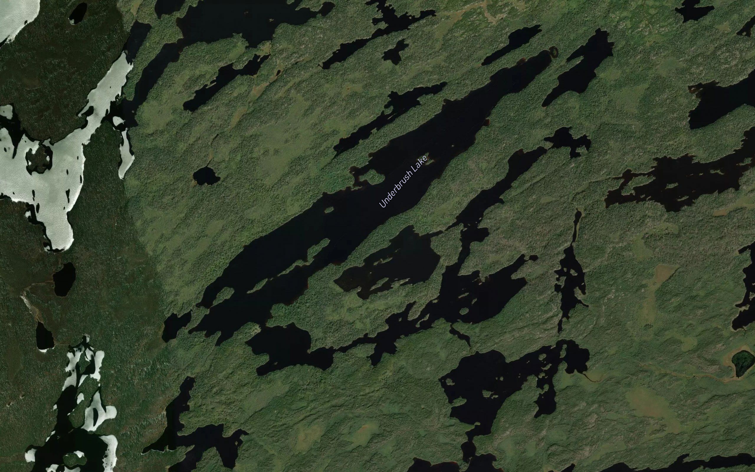 Underbrush Lake