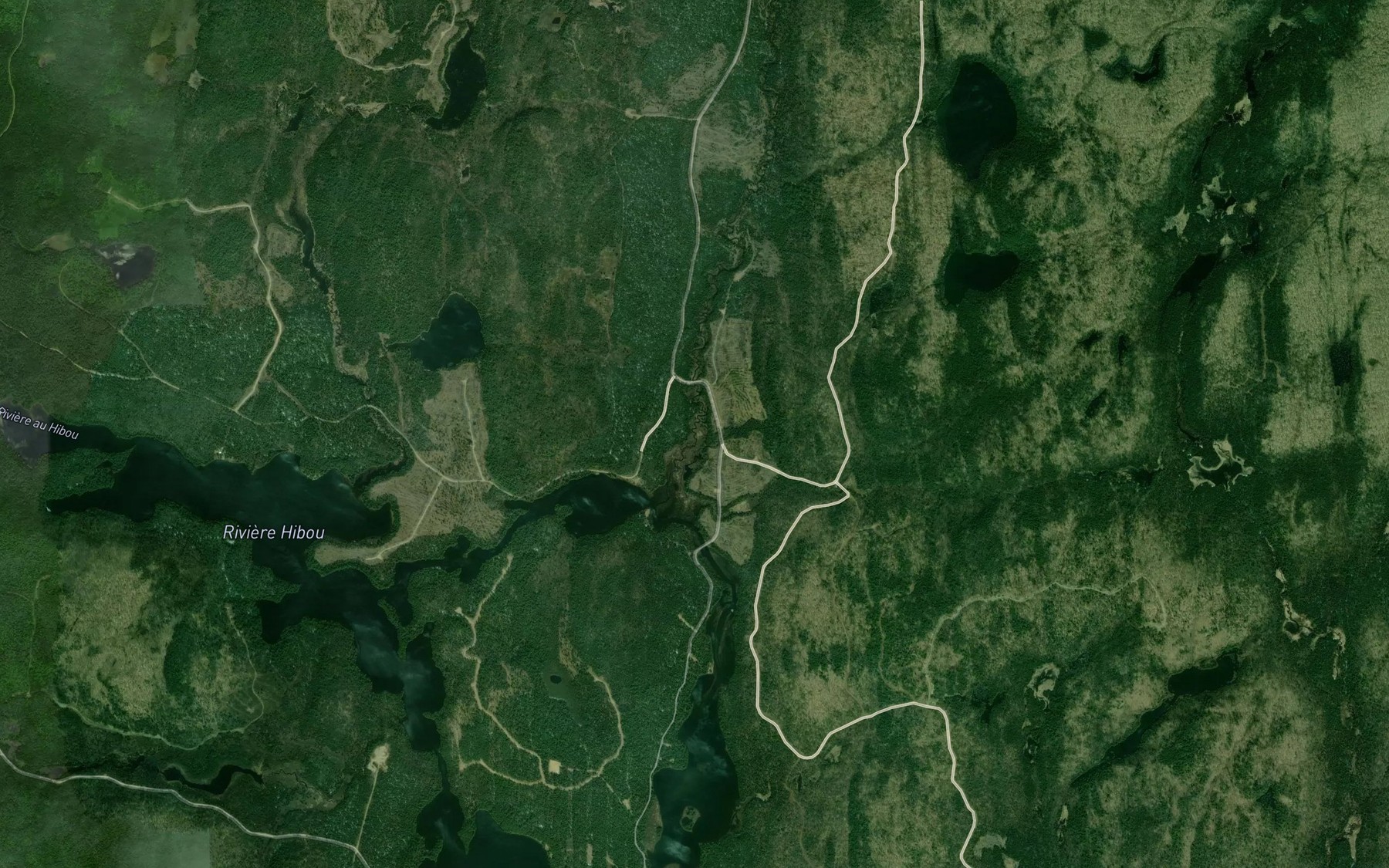 Satellite map of the Ruisseau Flynn