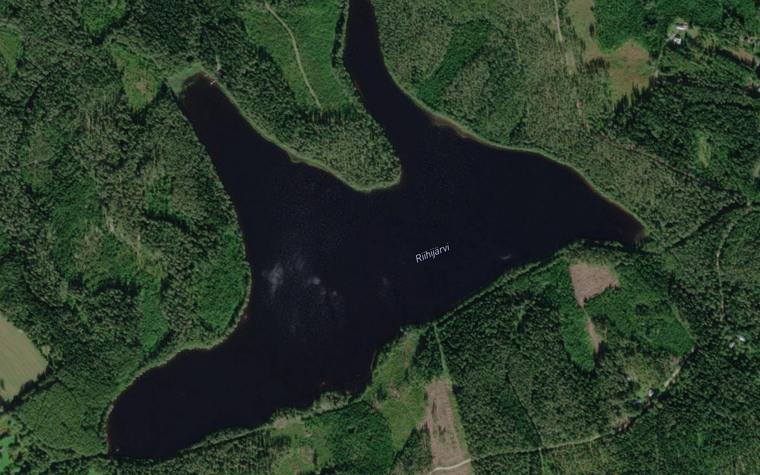 Riihijarvi