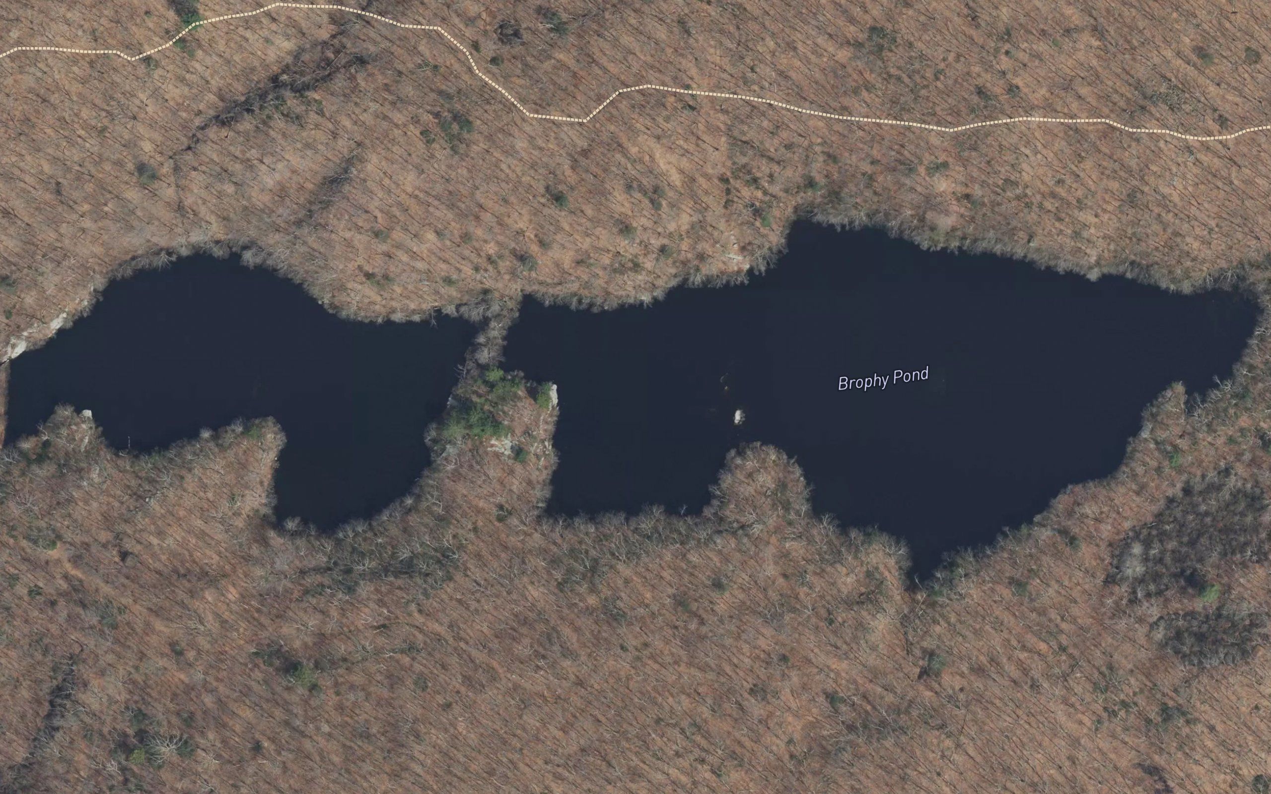 Brophy Pond