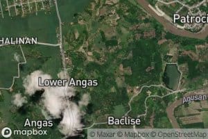 Branch of Angas Creek