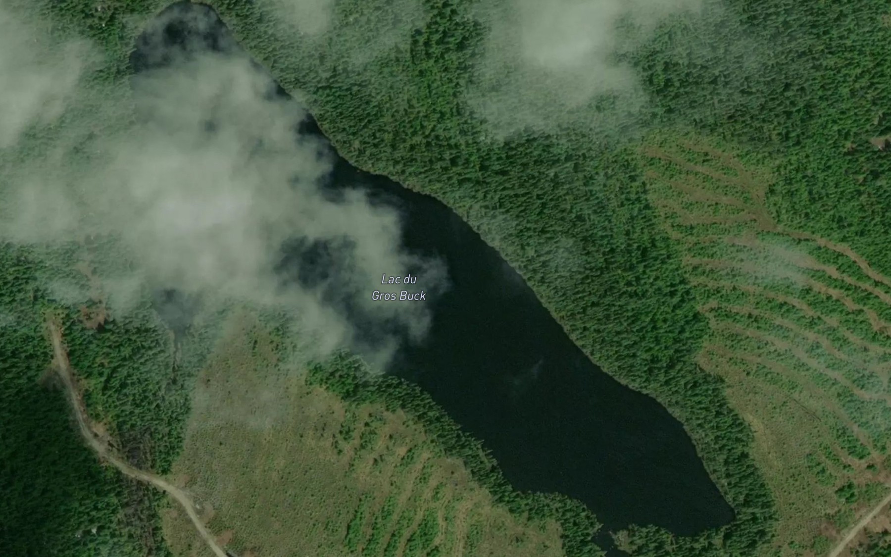 Satellite map of the Lac du Gros Buck