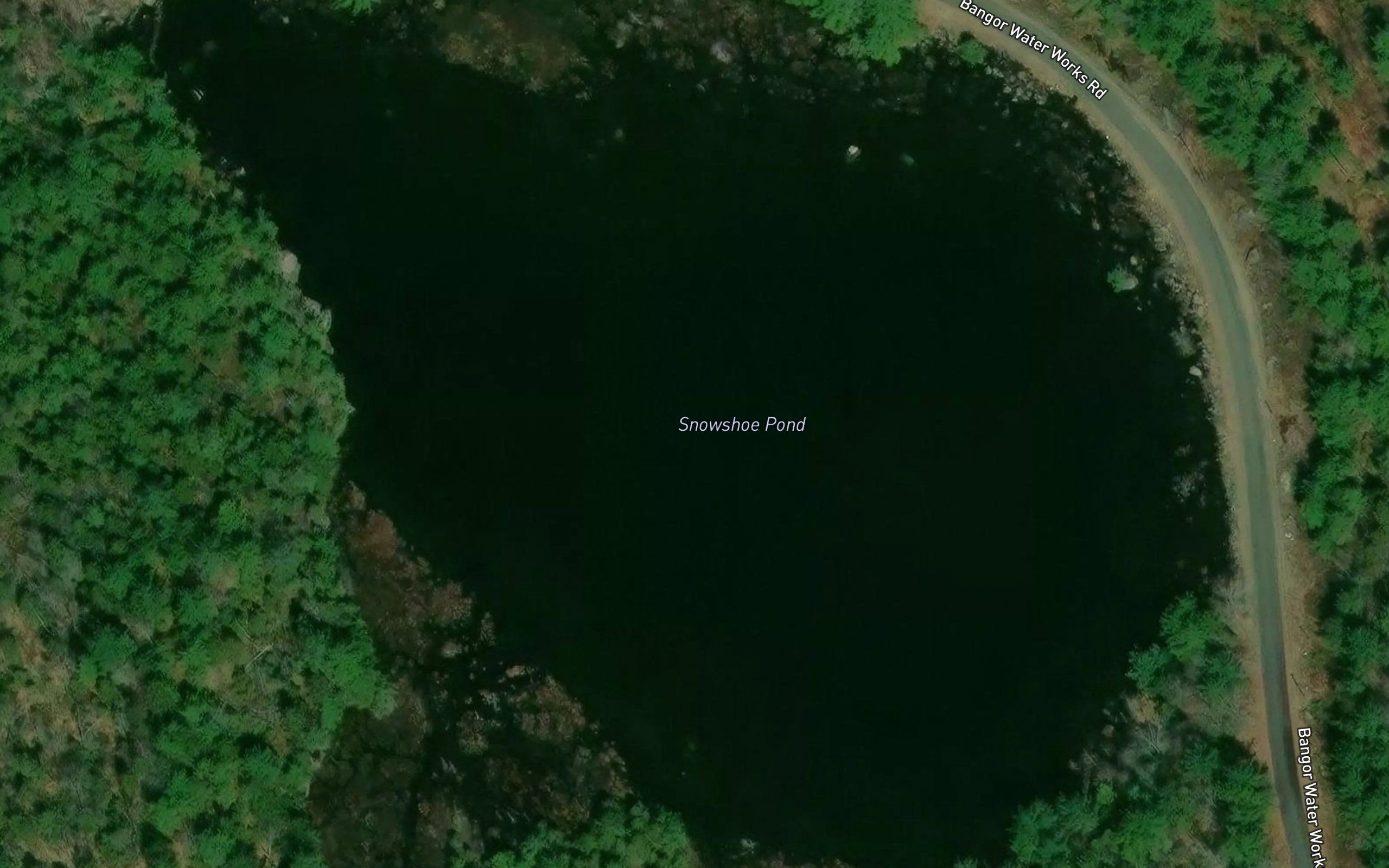 Snowshoe Pond