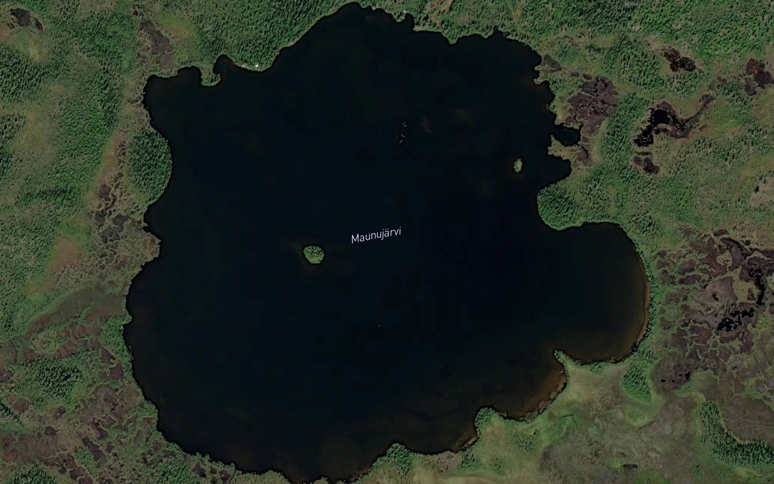 Maunujaervi