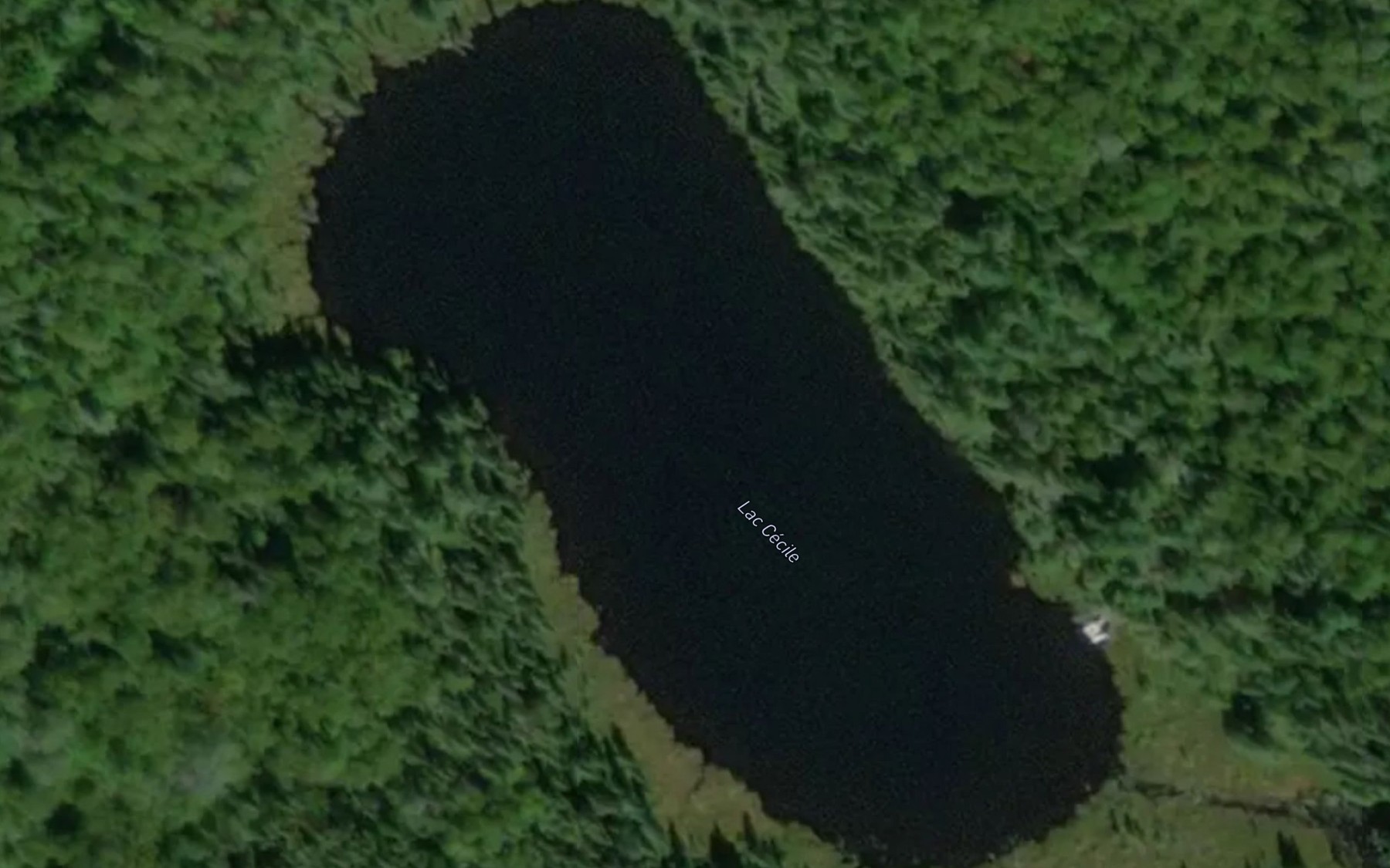 Satellite map of the Lac Cecile