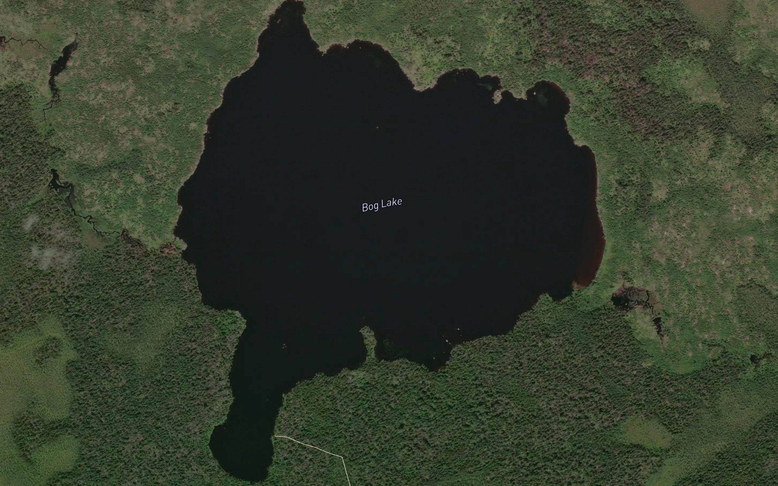 Bog Lake
