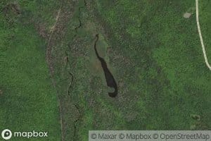 Coontail Lake