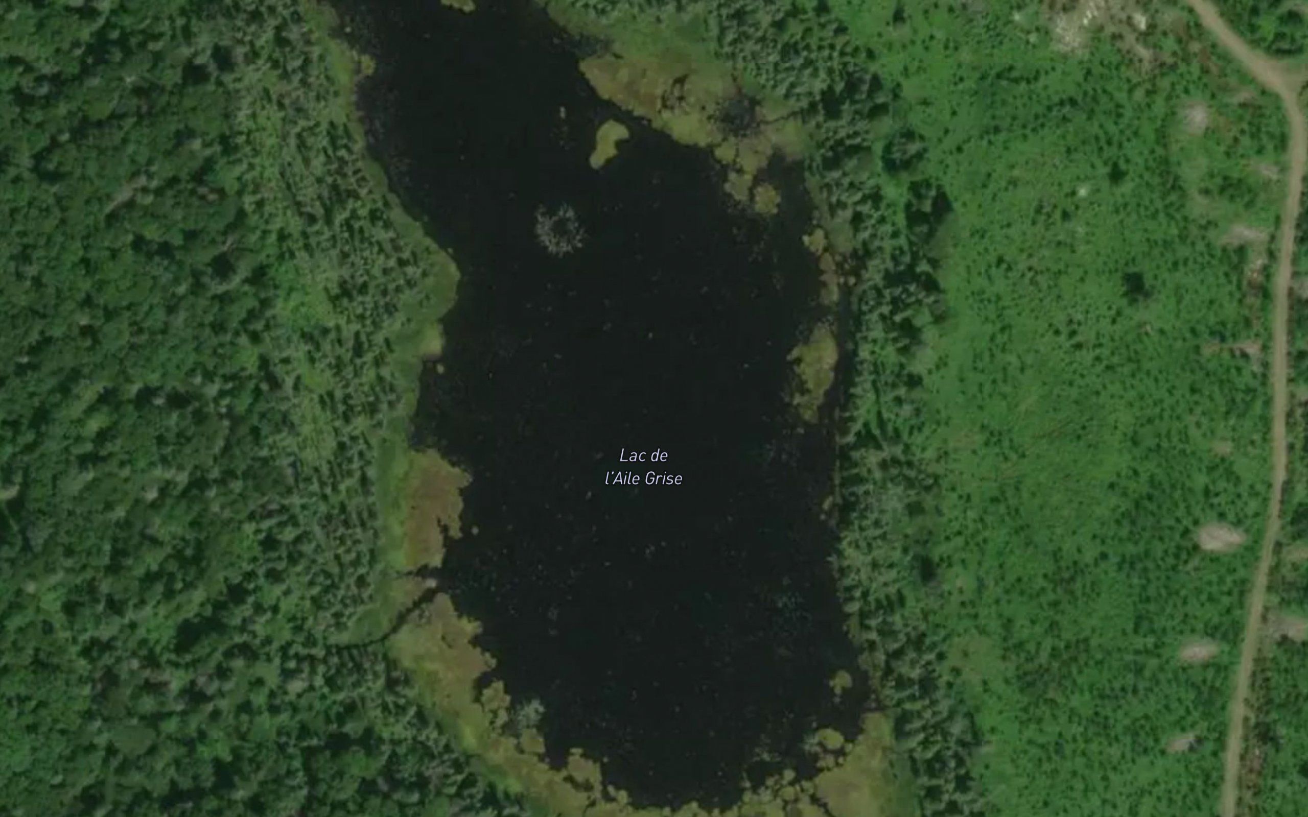 Lac de l'Aile Grise