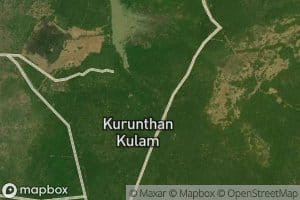 Kunji Aru
