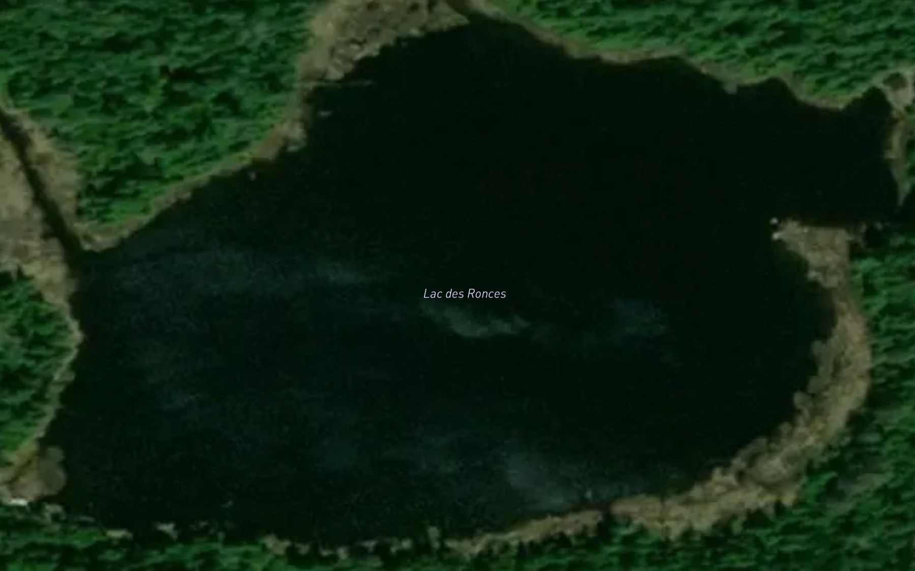 Satellite map of the Lac des Ronces