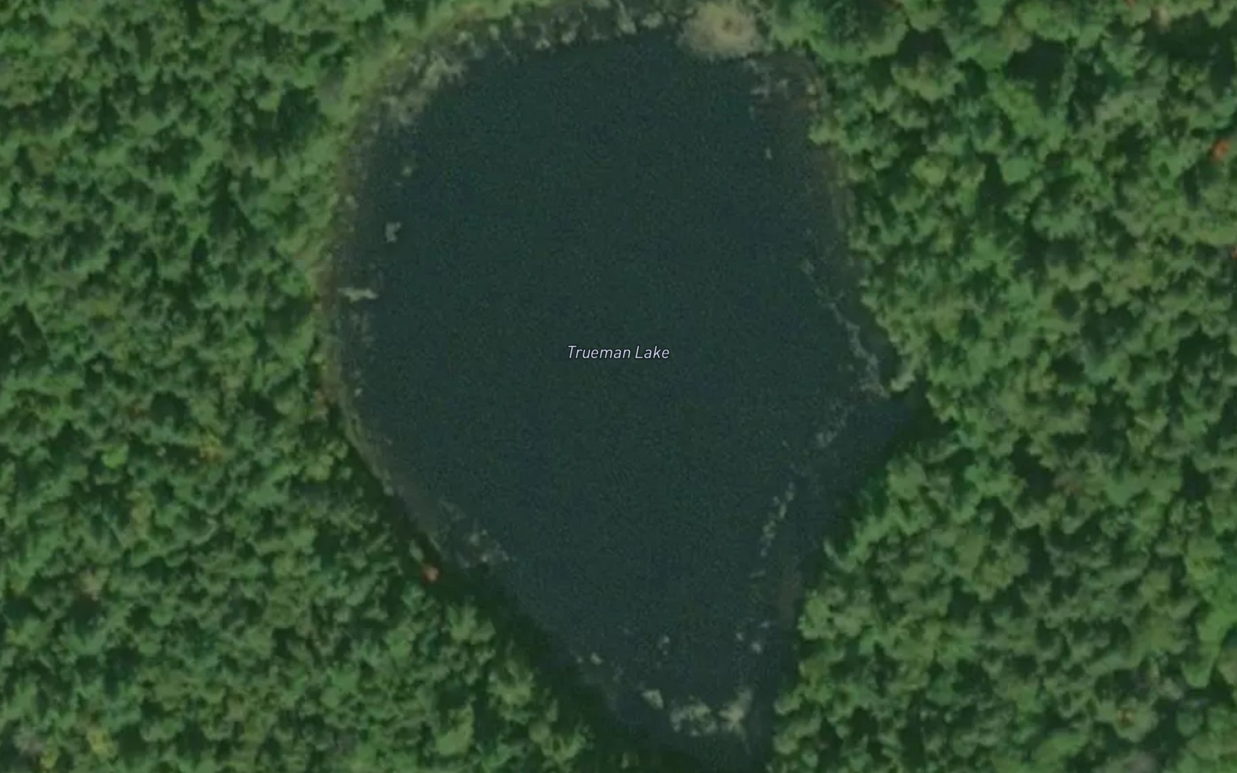 Satellite map of the Trueman Lake