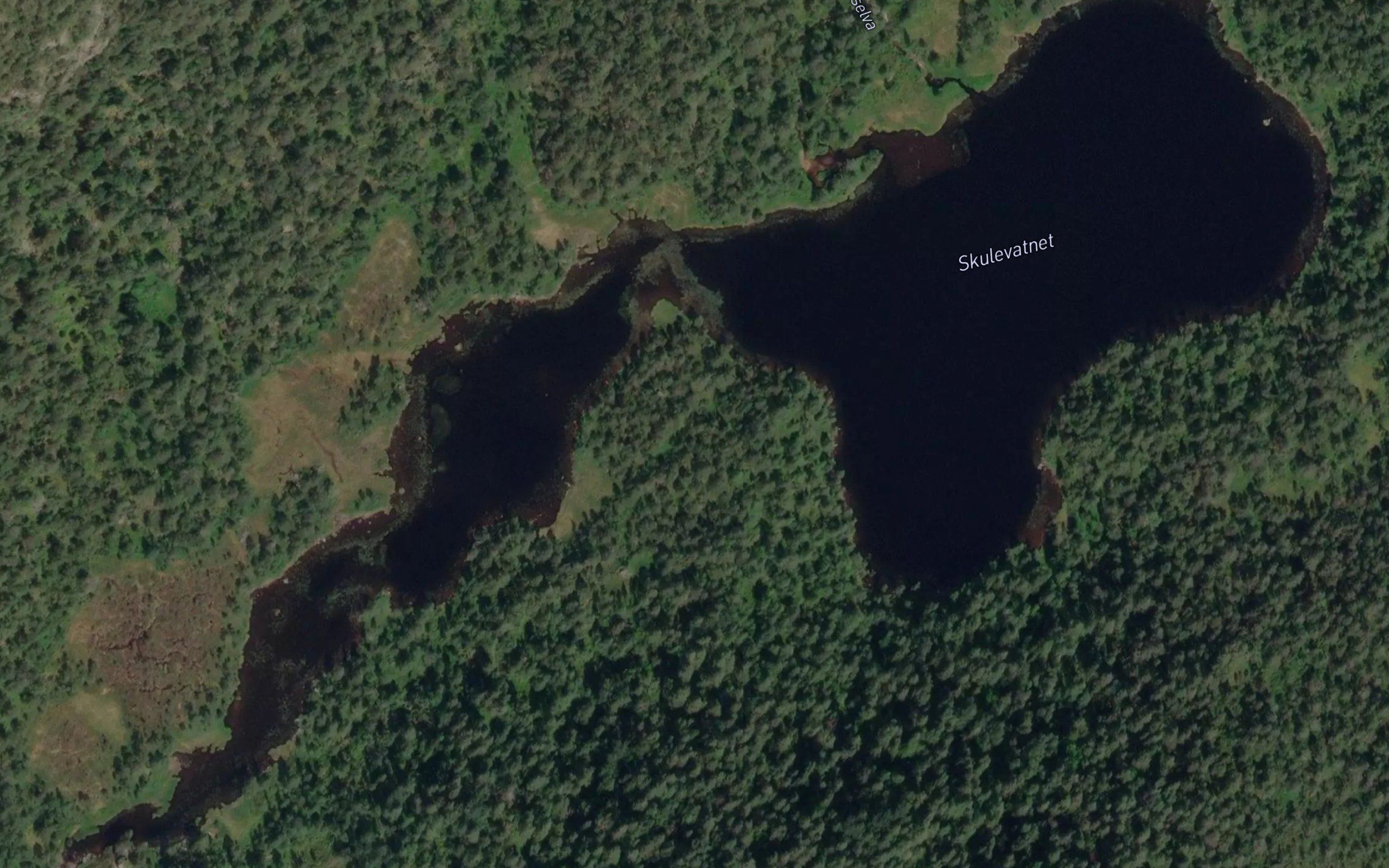 Skulevatnet