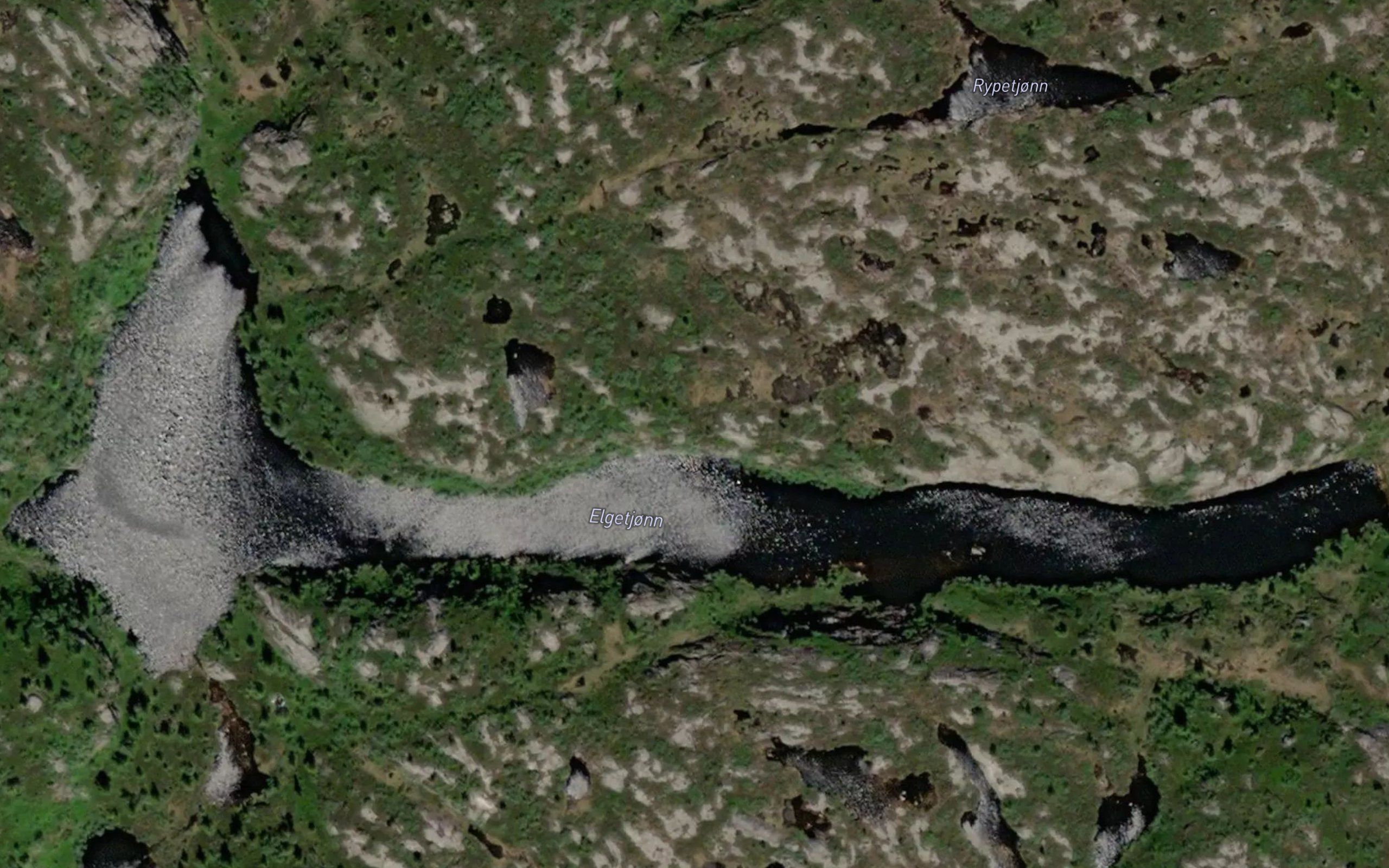 Elgetjorn