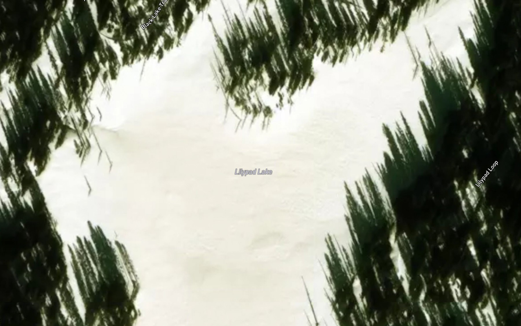 Satellite map of the Lilypad Lake