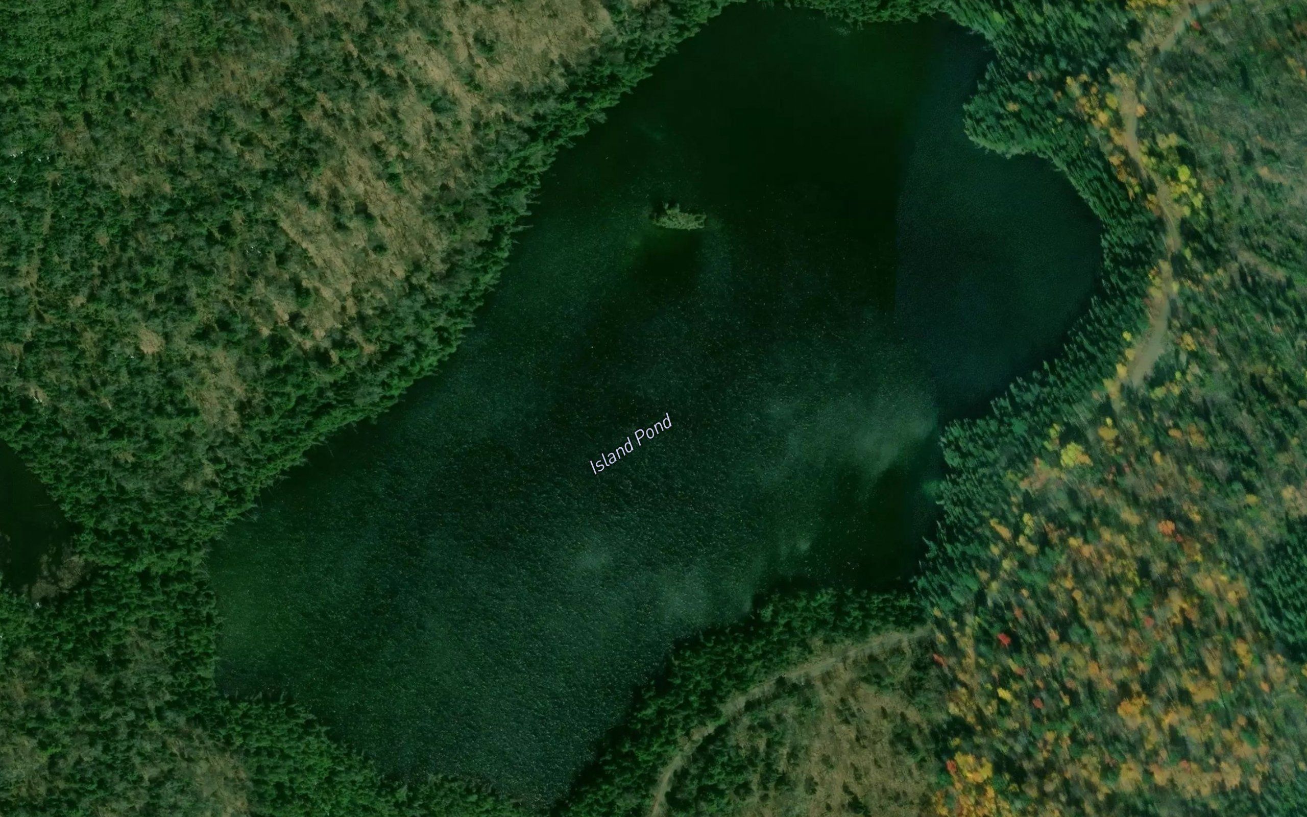 Island Pond