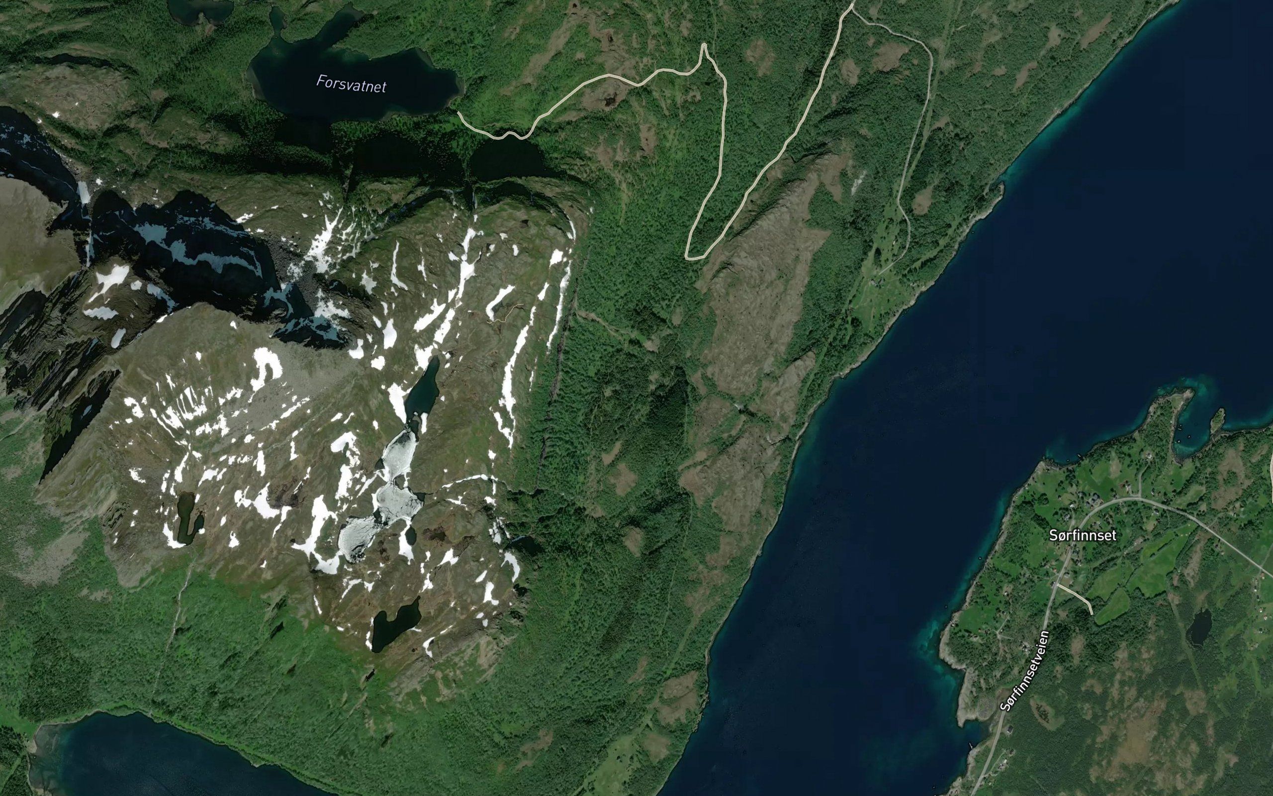 Glomselva