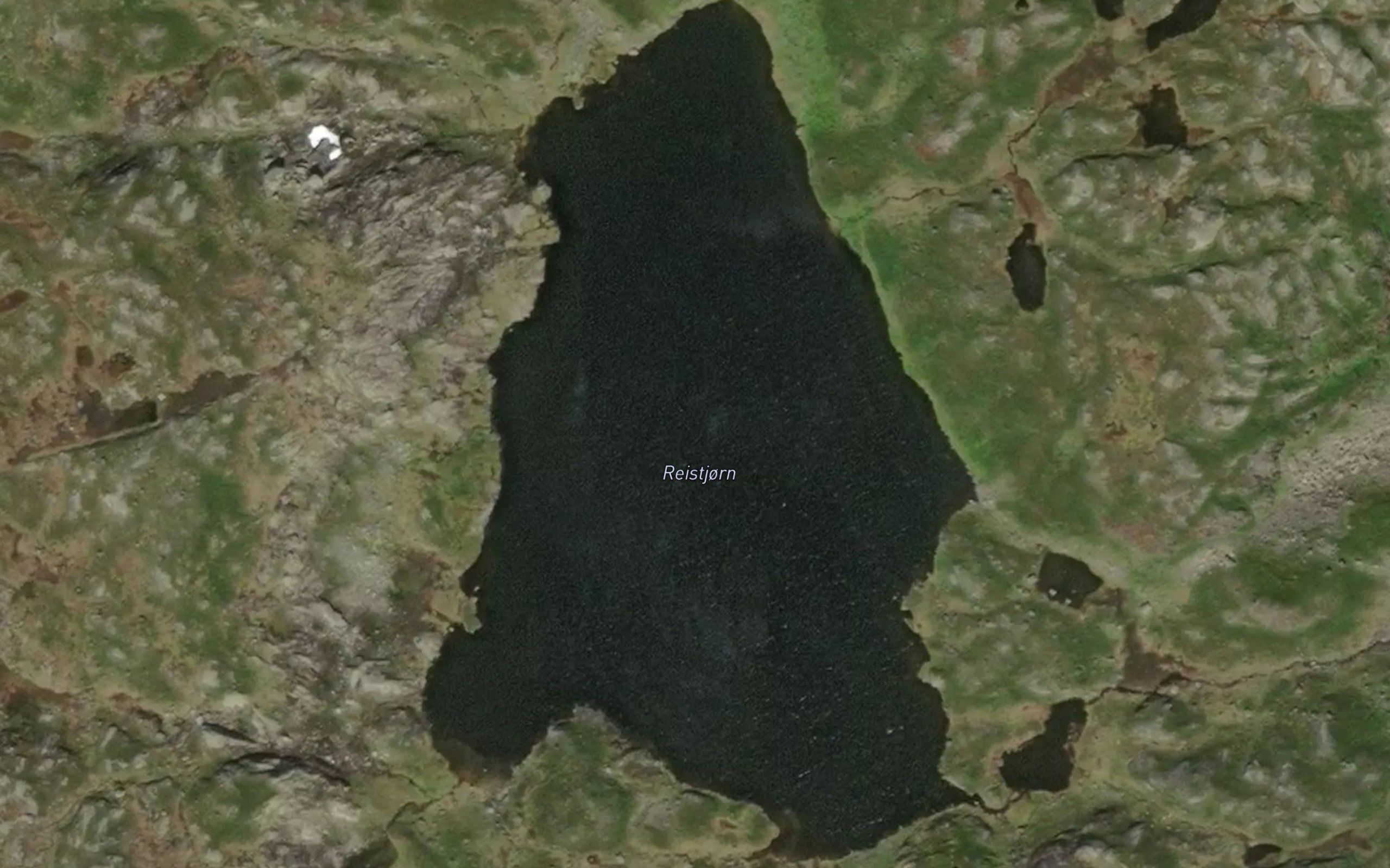 Reistjorn