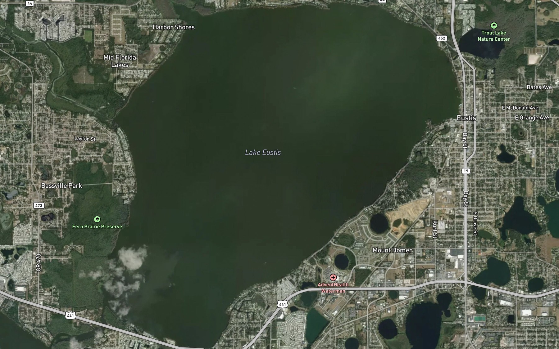 Satellite map of the Lake Eustis