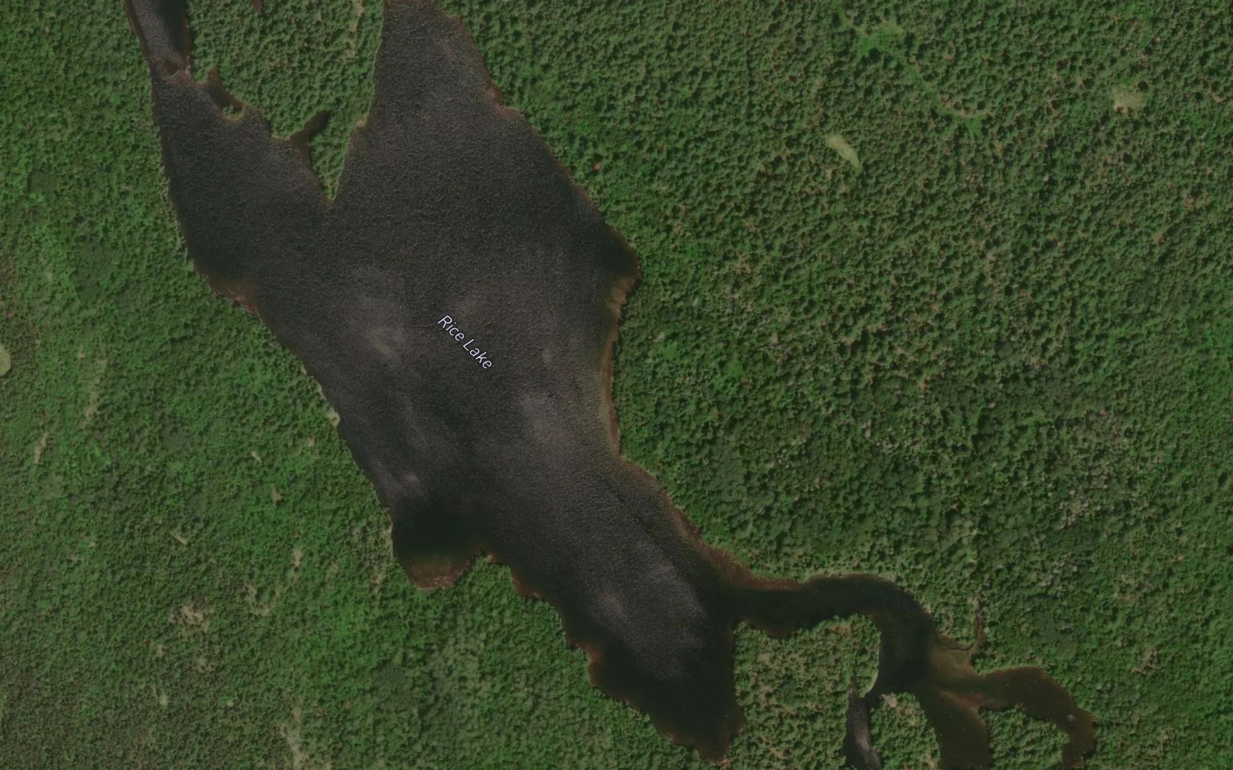 Satellite map of the Rice Lake