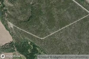 Quakie Creek