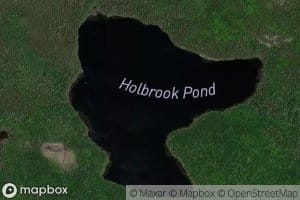 Holbrook Pond