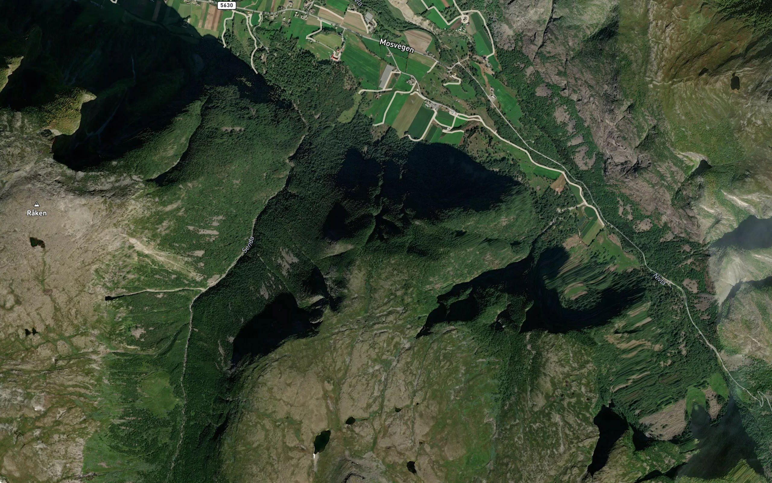 Systragrovi