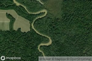 Blue Bayou