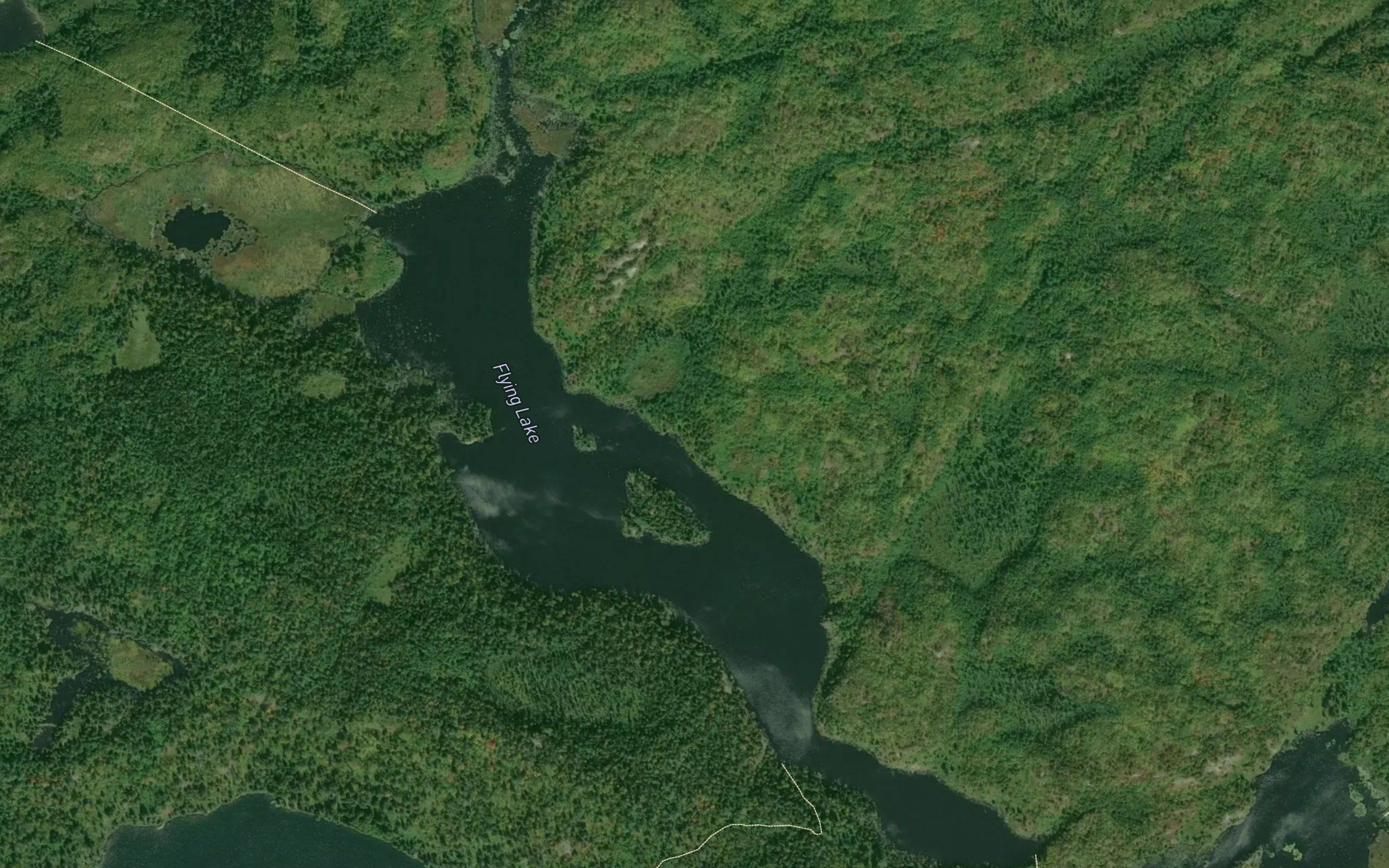 Flying Lake