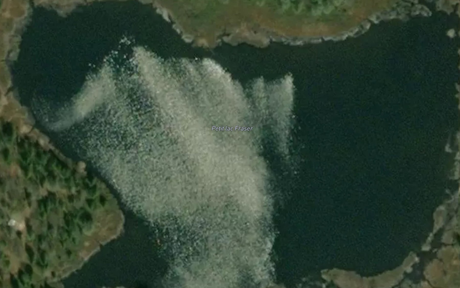 Satellite map of the Petit lac Fraser