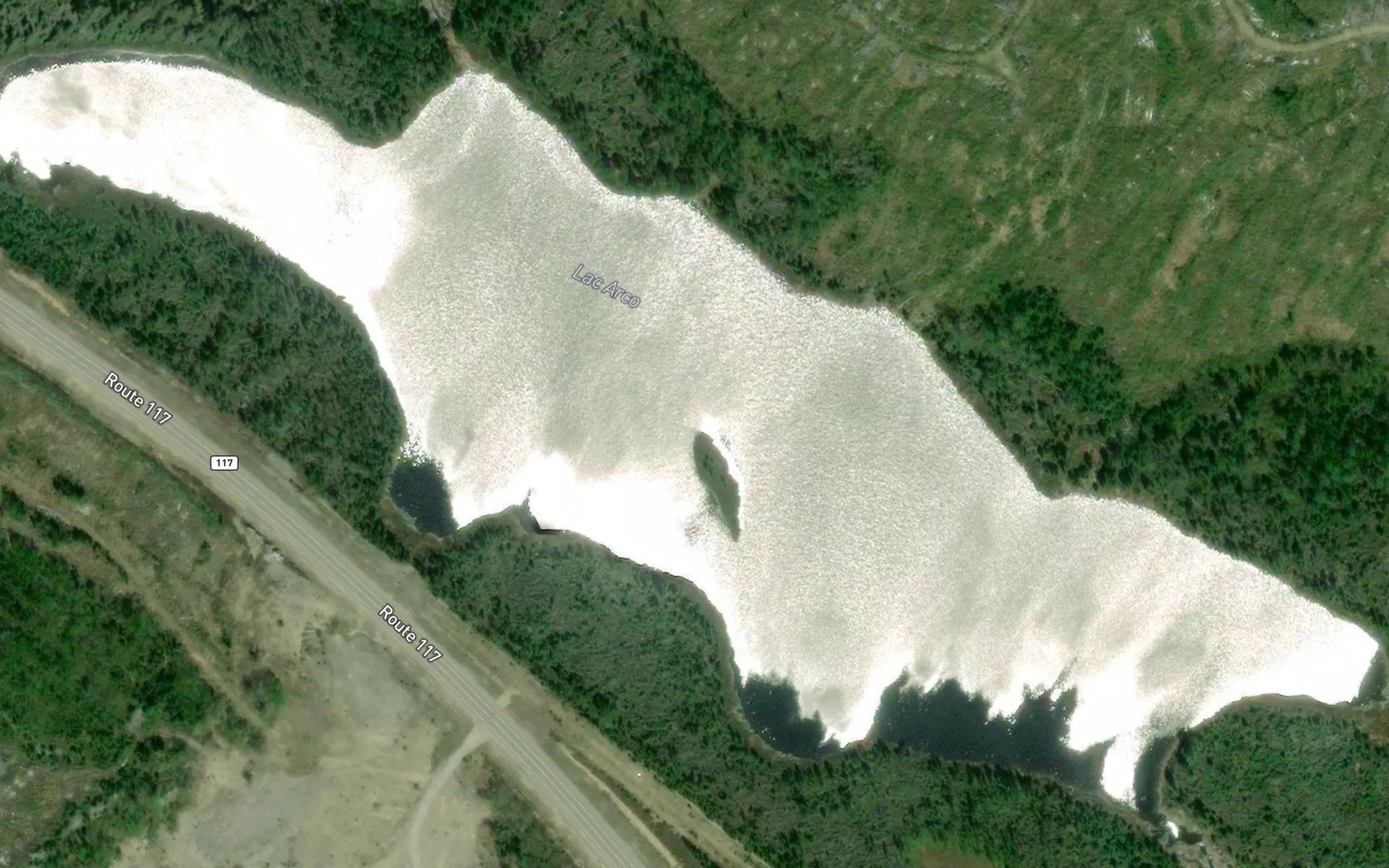 Satellite map of the Lac Arco