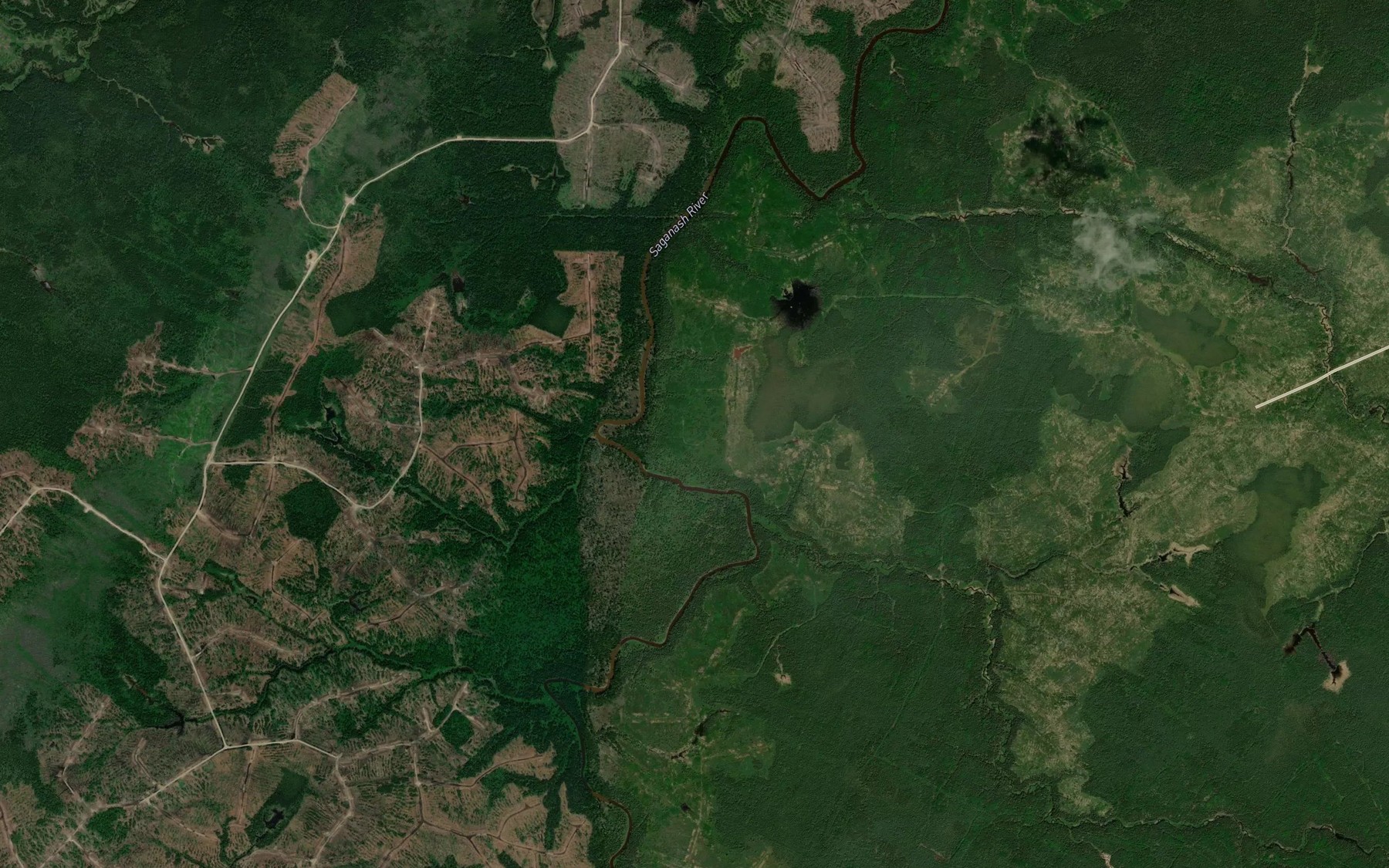 Satellite map of the Young Creek