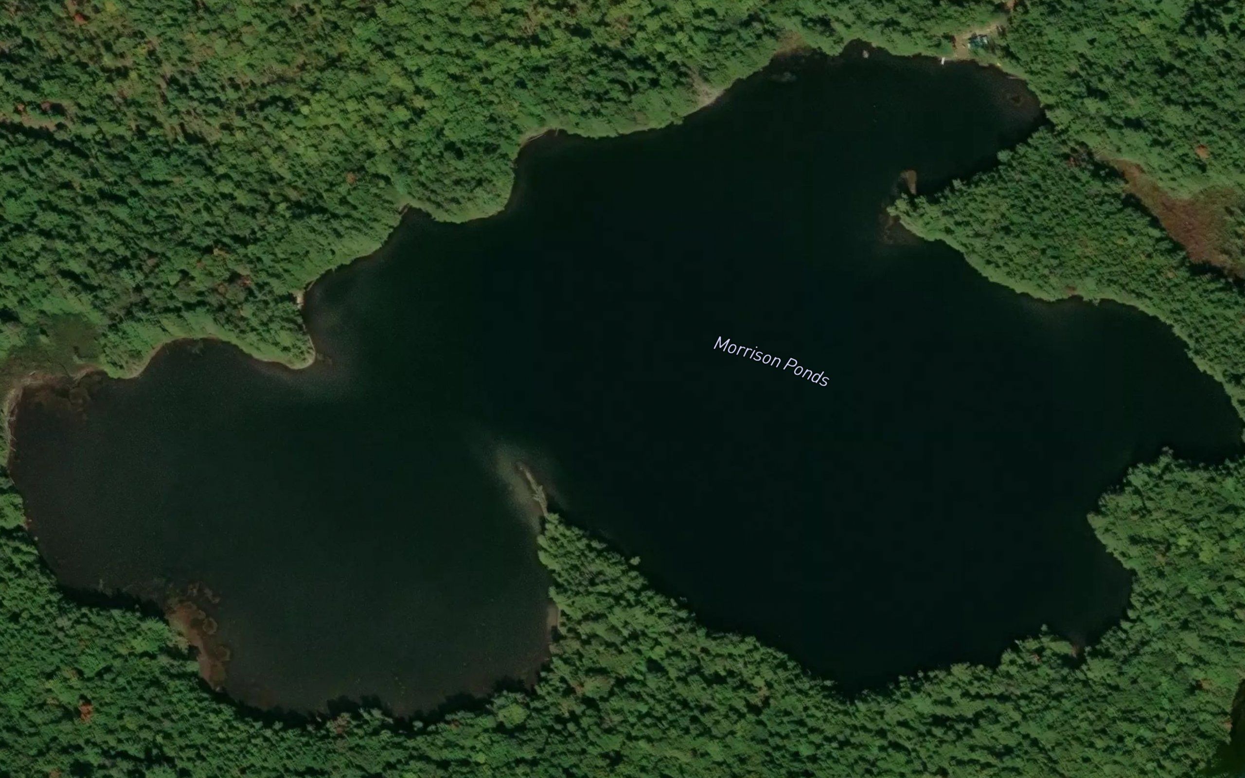 Morrison Ponds