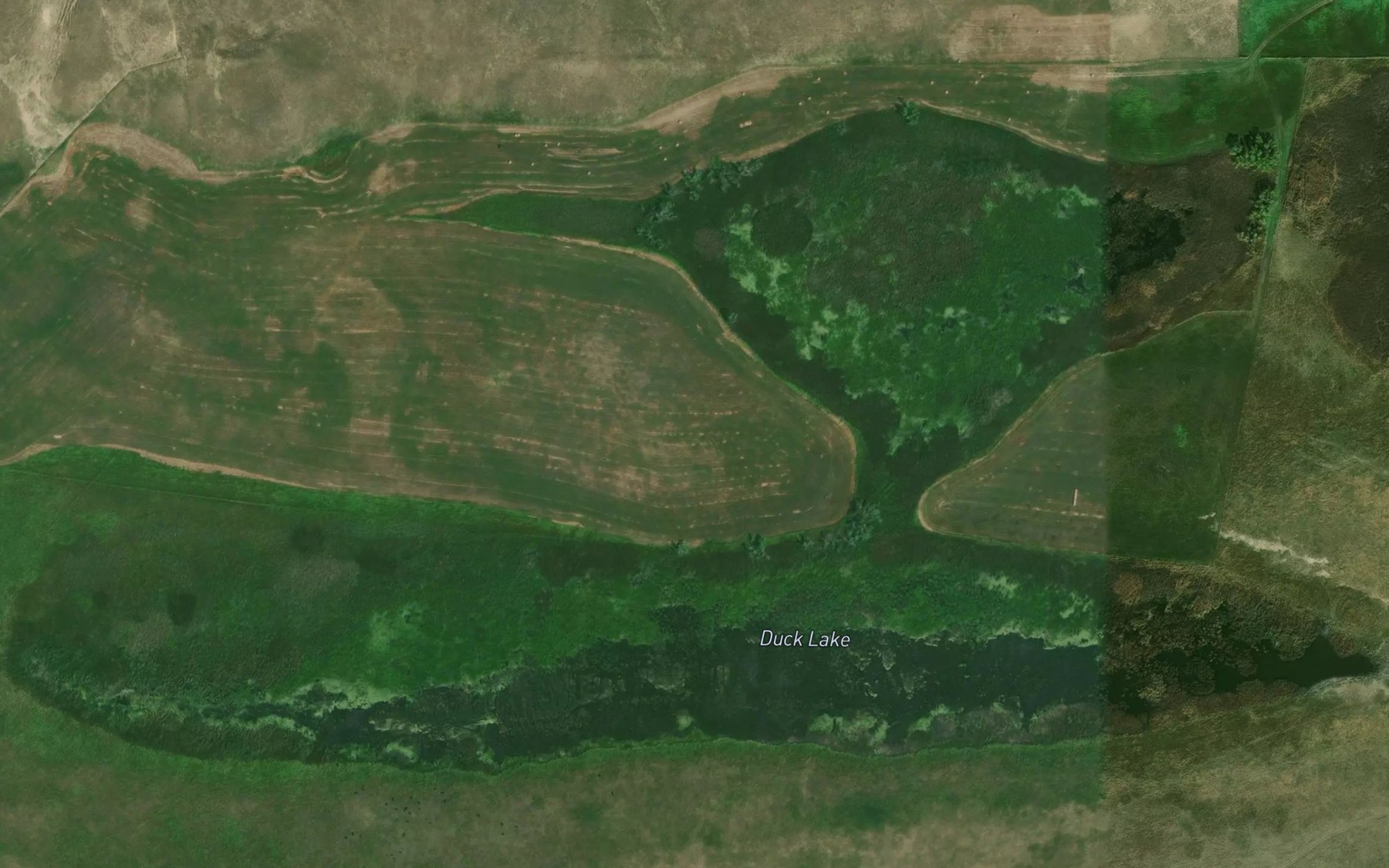 Satellite map of the Duck Lake