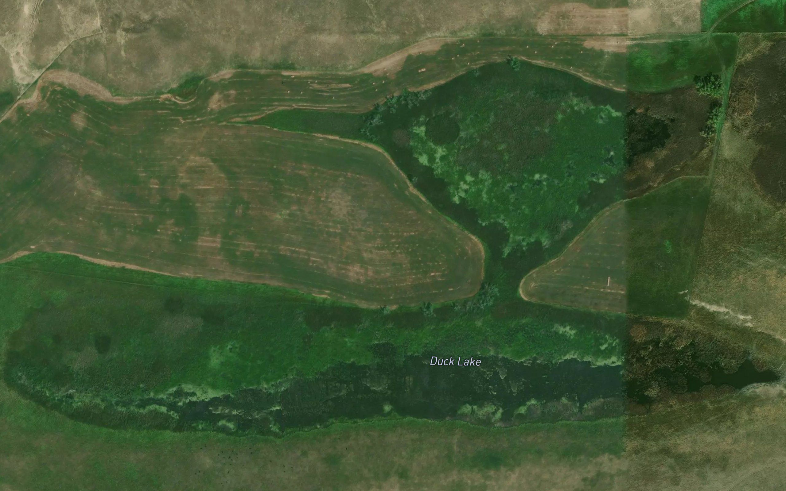 Duck Lake