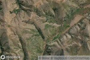 Tim Burn Left Branch