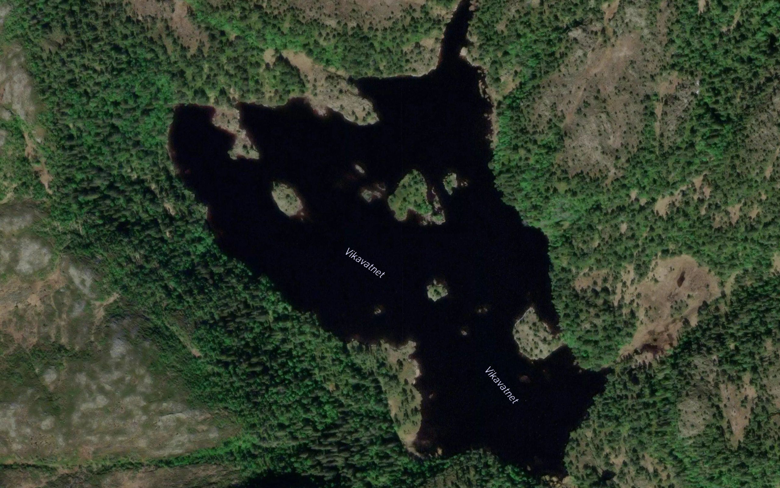 Vikavatnet