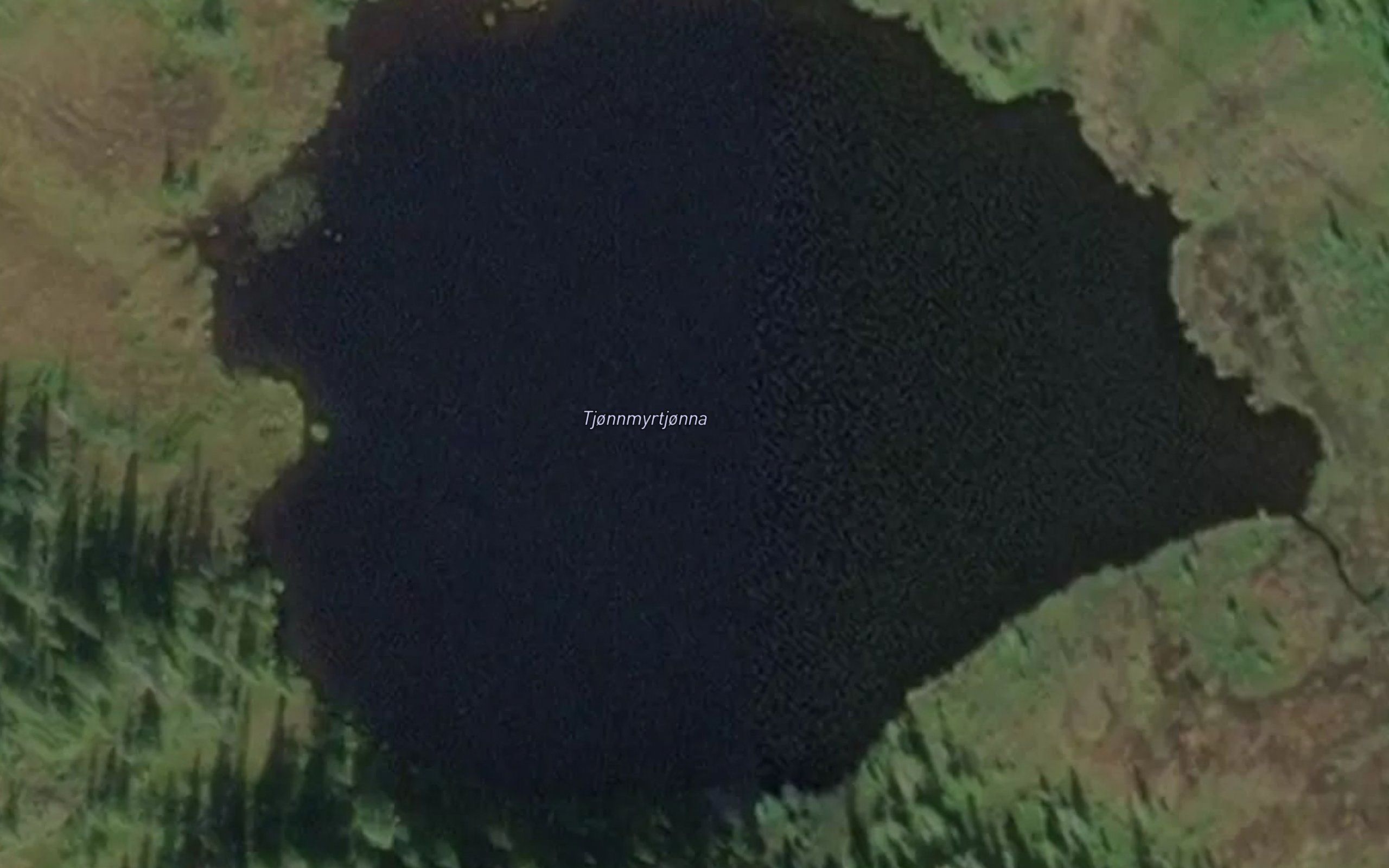 Tjornmyrtjorna