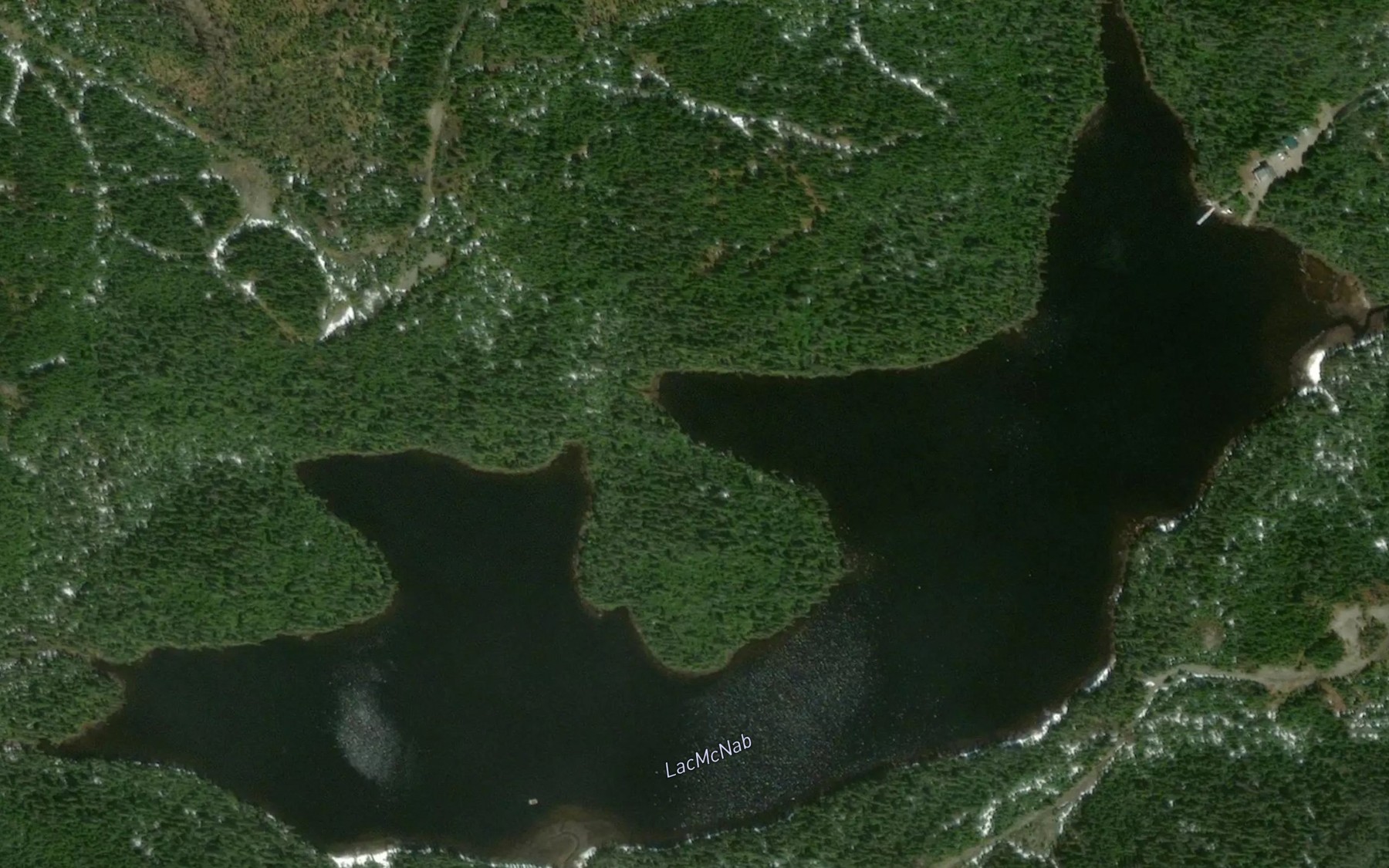 Satellite map of the Lac McNab