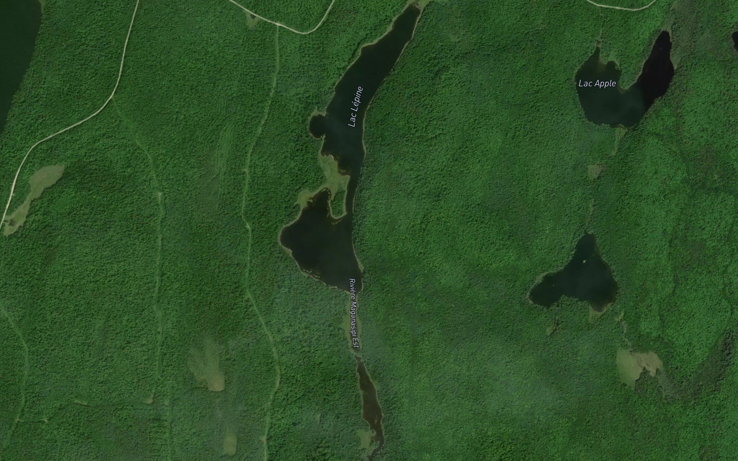 Lac Lepine